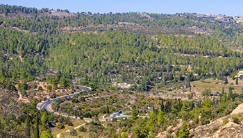 חוגים במערב הגוש